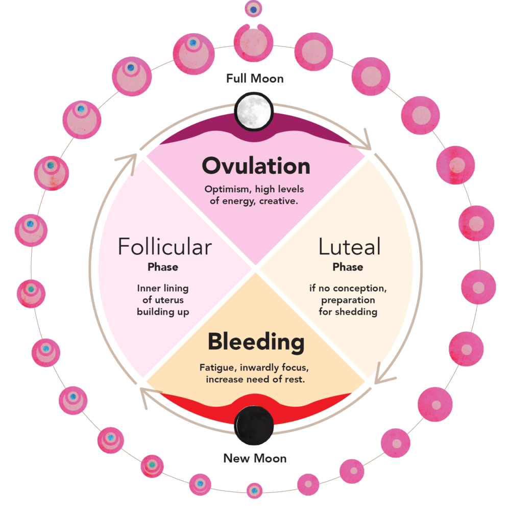 Tracking Your Cycles, Emotions, and Energy A Doctor’s Perspective. Spinning Wheels